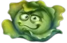 Cabbage symbol